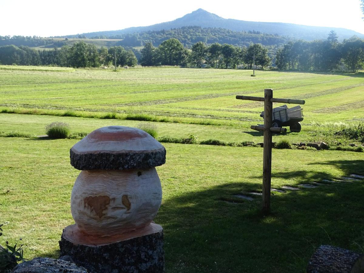 La Ferme De Madelonnet Bed & Breakfast Saint-Jeures ภายนอก รูปภาพ