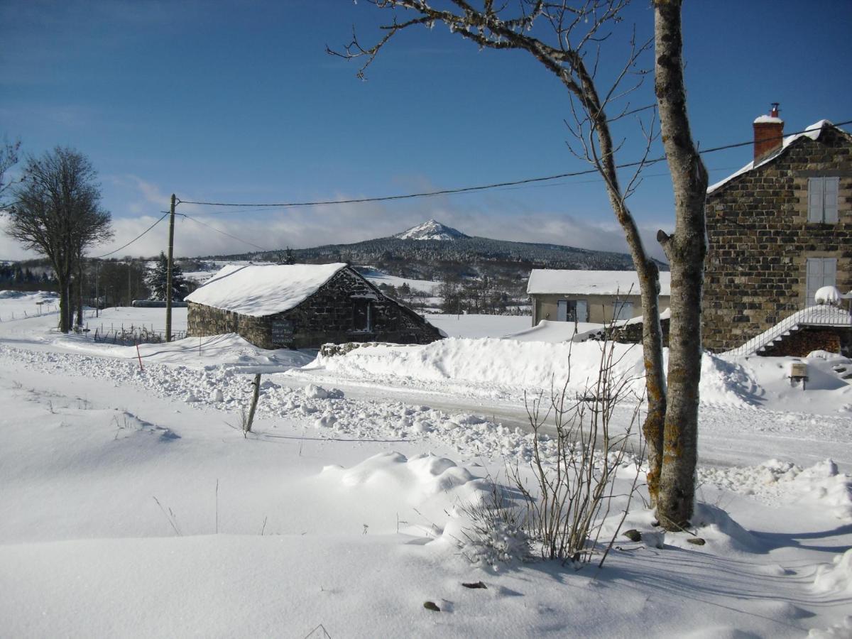 La Ferme De Madelonnet Bed & Breakfast Saint-Jeures ภายนอก รูปภาพ